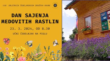 Ob Dnevu sajenja medovitih rastlin na Ravnah (6)